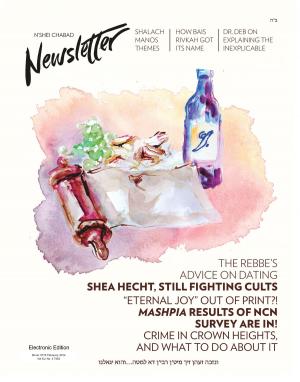 Cover of the book Nshei Chabad Newsletter: Shvat 5774 / Jan 2014 by Tony Ceglio