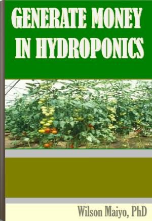 Cover of the book Generate Money In Hydroponics by Sipiwe Mashingaidze