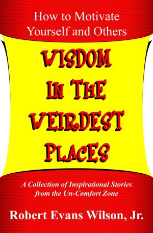 Book cover of Wisdom in the Weirdest Places