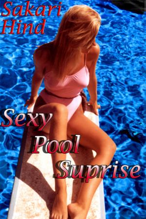 Cover of the book Sexy Pool Surprise by Nicole Nethers