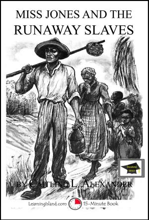 Cover of Miss Jones and the Runaway Slaves: A 15-Minute Fantasy, Educational Version