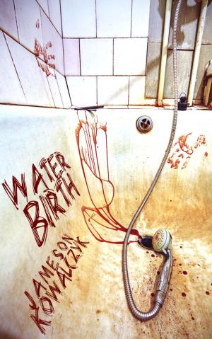 Cover of the book Water Birth (A Short Story) by Norah Carter