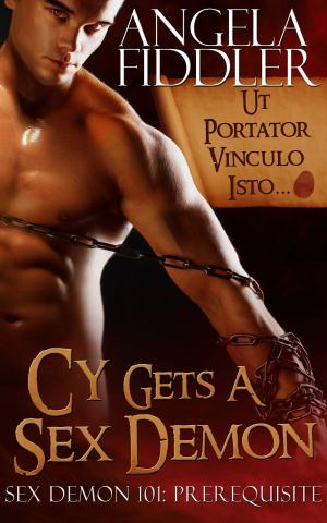 Book cover of Cy Gets A Sex Demon