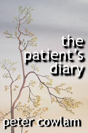 Book cover of The Patient's Diary