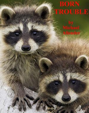 Cover of the book Born Trouble by Gwynn White, Erin St Pierre
