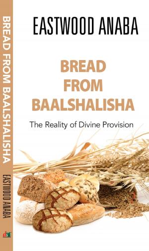 Cover of the book Bread From Baalshalisha by Elizabeth Brickman