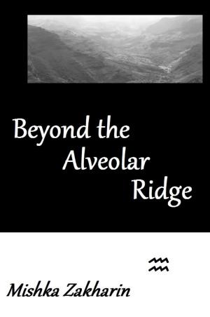 bigCover of the book Beyond the Alveolar Ridge by 