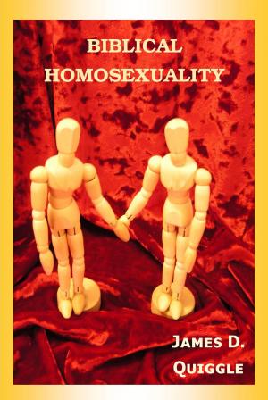 Cover of the book Biblical Homosexuality by James D. Quiggle