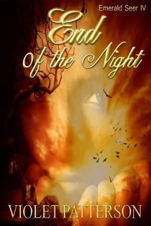 Book cover of End of the Night