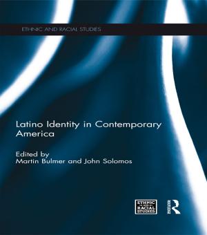 Cover of the book Latino Identity in Contemporary America by Shireen Mahdavi