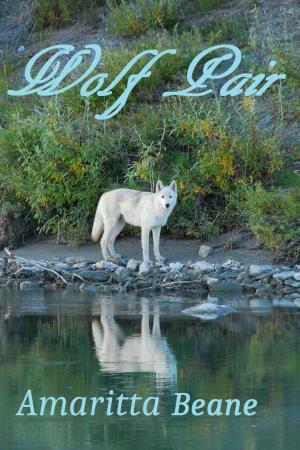 Cover of the book Wolf Pair by Danielle E. Shipley