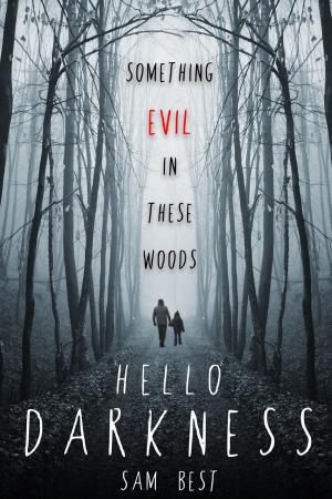 Cover of the book Hello Darkness by Alcy Leyva