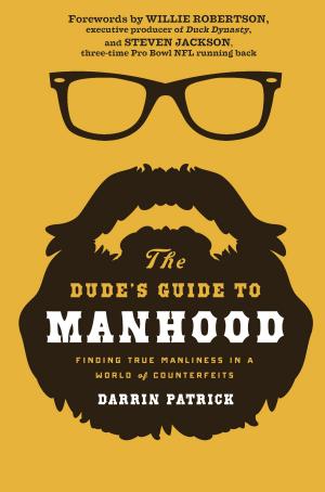 Book cover of The Dude's Guide to Manhood