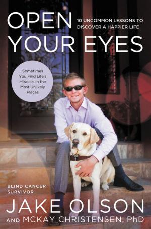 Cover of the book Open Your Eyes by Rachel Linden