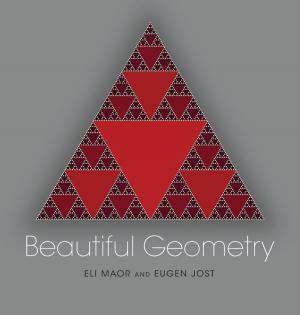 Cover of the book Beautiful Geometry by Ian Buruma