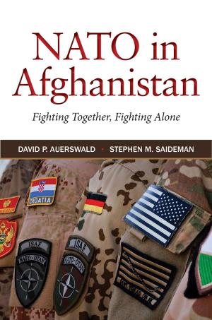 Cover of the book NATO in Afghanistan by Ariel Porat, Robert D. Cooter