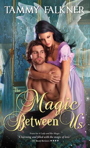 Cover of the book The Magic Between Us by Barbara Erskine