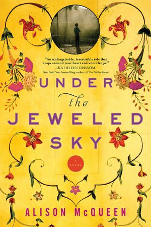 Cover of the book Under the Jeweled Sky by Anna Schmidt