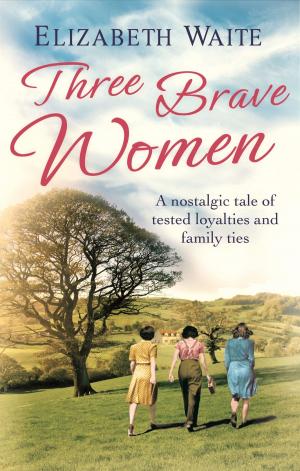 Cover of the book Three Brave Women by Various