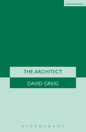 Cover of the book The Architect by Derrick Wright, Gordon L. Rottman