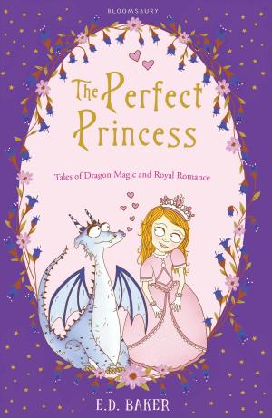 Cover of the book The Perfect Princess by Mr Richard Nerurkar