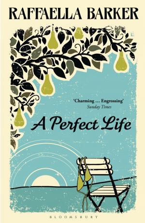 Cover of the book A Perfect Life by Chris Steed