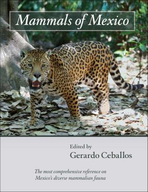 Cover of the book Mammals of Mexico by Bob Luke, John David Smith