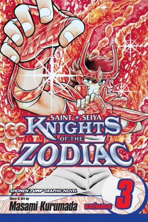 Cover of the book Knights of the Zodiac (Saint Seiya), Vol. 3 by Karuho Shiina