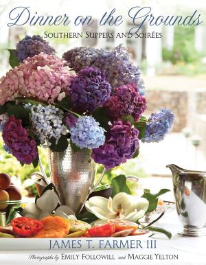Cover of the book Dinner on the Grounds by Stephanie Ashcraft