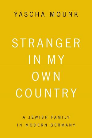 Cover of the book Stranger in My Own Country by Steve Sem-Sandberg