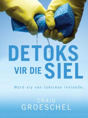 Cover of the book Detoks vir die siel (eBoek) by Eliel Roshveder