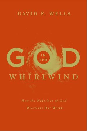 Cover of the book God in the Whirlwind by John Calvin