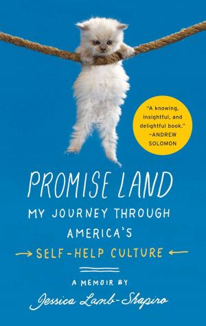 Cover of the book Promise Land by Maz Jobrani