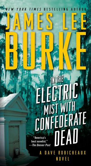 Book cover of In the Electric Mist with Confederate Dead