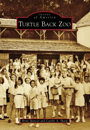 Cover of the book Turtle Back Zoo by Mark J. Camp