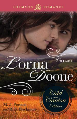 Cover of the book Lorna Doone: The Wild And Wanton Edition Volume 1 by Holley Trent