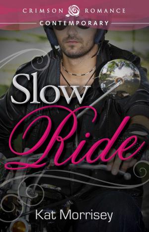 bigCover of the book Slow Ride by 