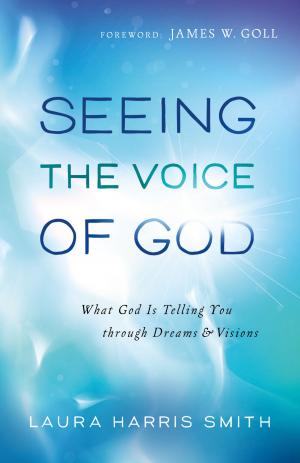 Book cover of Seeing the Voice of God