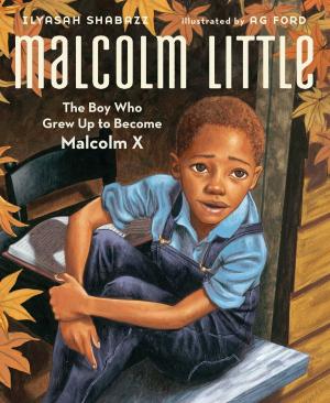 Book cover of Malcolm Little
