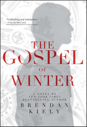 Cover of the book The Gospel of Winter by Ian Lendler