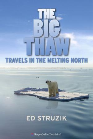 Cover of the book The Big Thaw by Sharon Butala