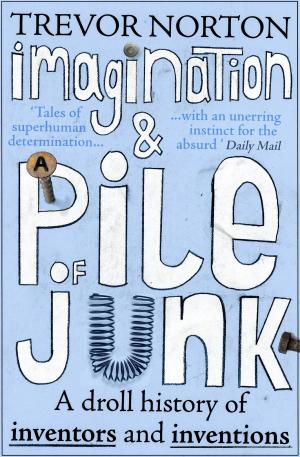 Cover of the book Imagination and a Pile of Junk by Britta Bolt