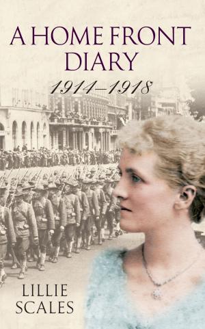 Cover of the book A Home Front Diary 1914-1918 by Hayley Watkins, Jill Eyers