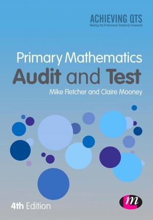 Cover of the book Primary Mathematics Audit and Test by Professor John Scott