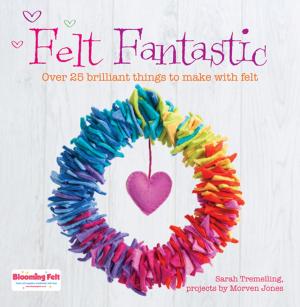 Cover of the book Felt Fantastic by Rachel Rubin Wolf