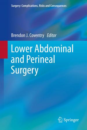 Cover of the book Lower Abdominal and Perineal Surgery by Calin Zamfirescu, Ibrahim Dincer, Greg F Naterer