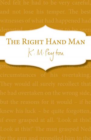 Cover of the book The Right-Hand Man by Leon Garfield, Edward Blishen