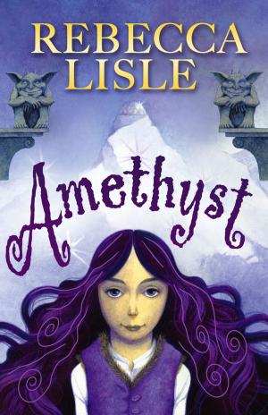 Cover of the book Amethyst by Rebecca Lisle
