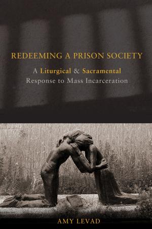 Cover of the book Redeeming a Prison Society by Eric A. Seibert