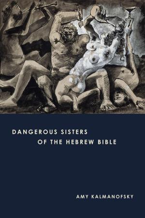 Cover of the book Dangerous Sisters of the Hebrew Bible by Joerg M. Rieger